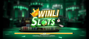 Winli Slots Game 1